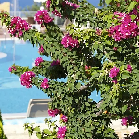 Pilot's Luxury Hersonissos (Crete)